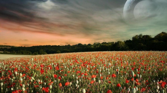 有没有GUI框架开发难度小，***消耗又不多，而且又跨平台？